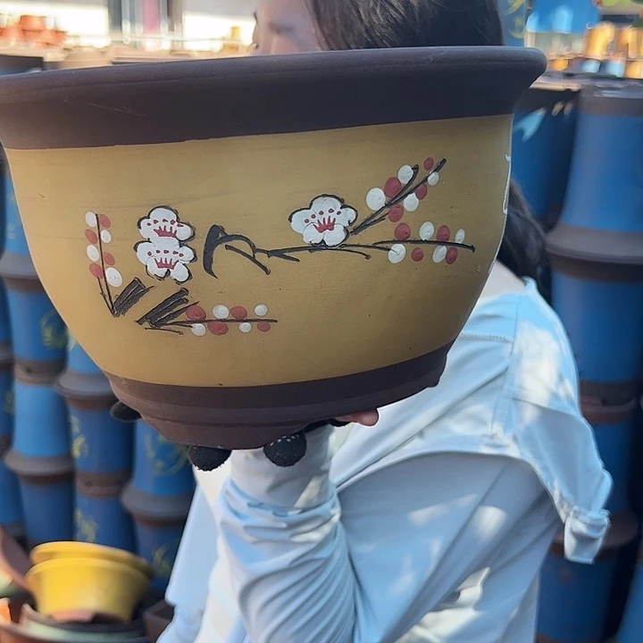005中号花盆花盆花盆花盆