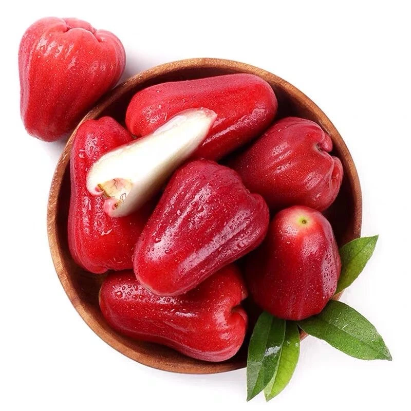 【海南黑金刚莲雾】清甜多汁 整箱带箱1.6斤左右 太原晋中吕梁可拍