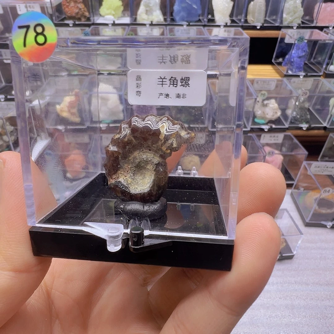 东陵石珠宝奇石合金