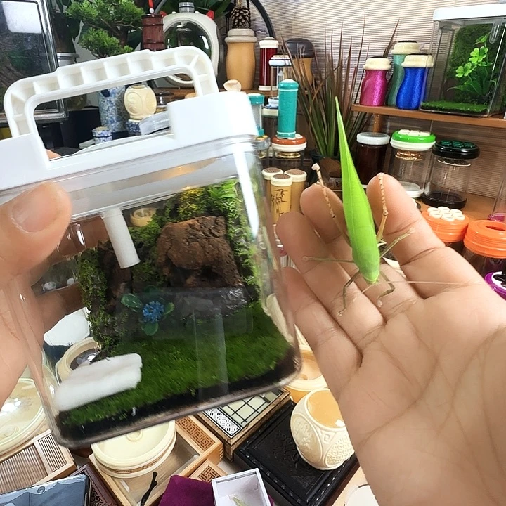 10/10盒子➕素背啊啊啊啊啊