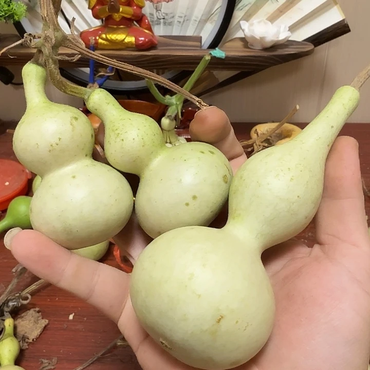 h***ㅤ不包成122344566777