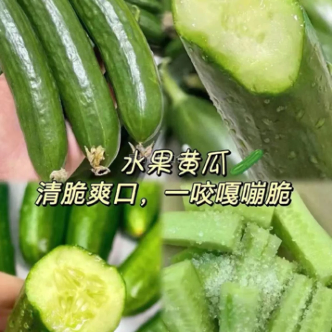水果黄瓜1盒（约2斤）