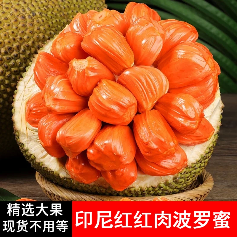 A进口印尼红肉菠萝蜜应季新鲜水果一整个稀有红心菠萝蜜 分切果