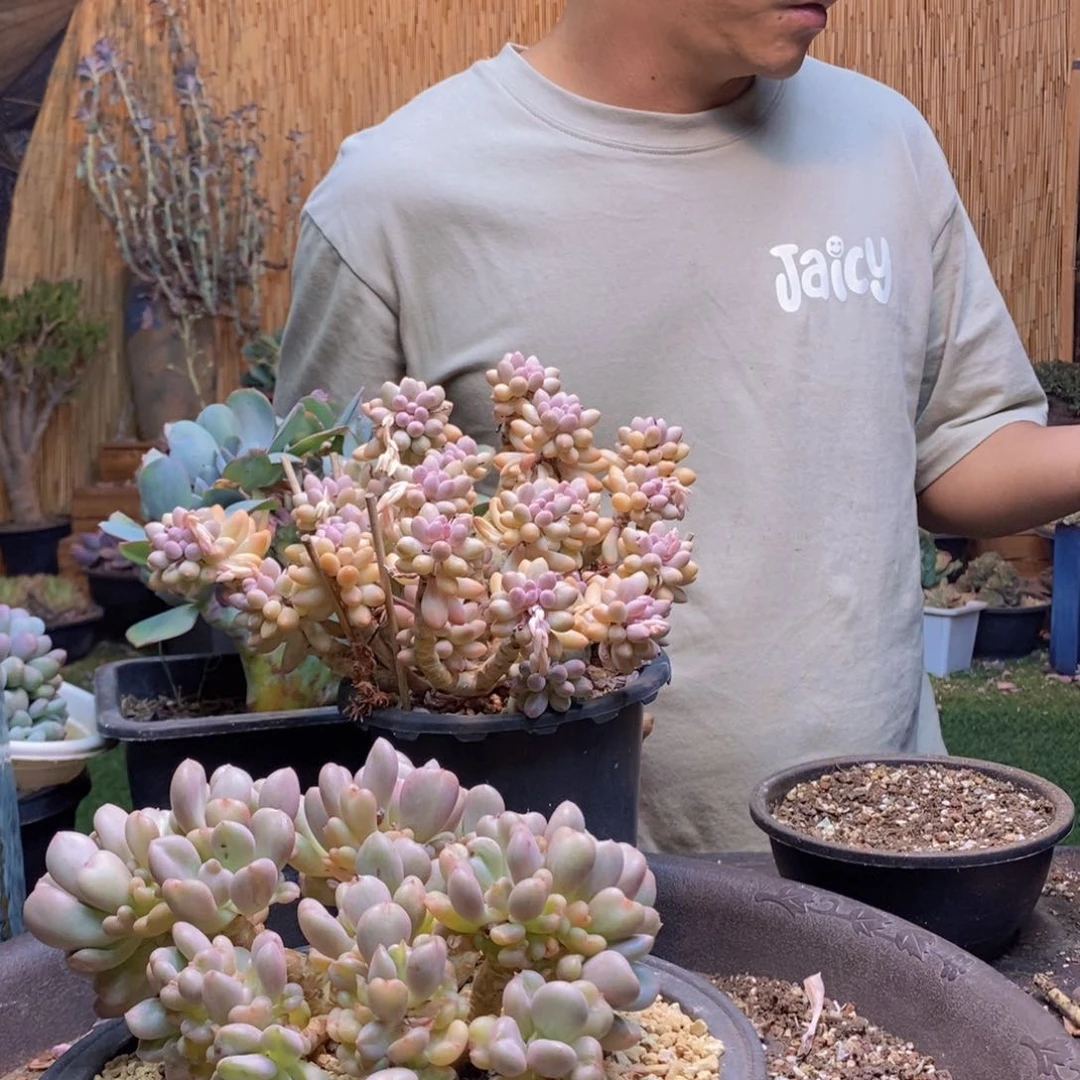 十*?121号比尔盖茨