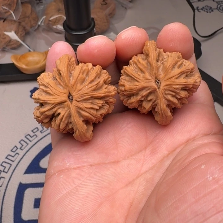 把件桃核山地麦虎41尺7