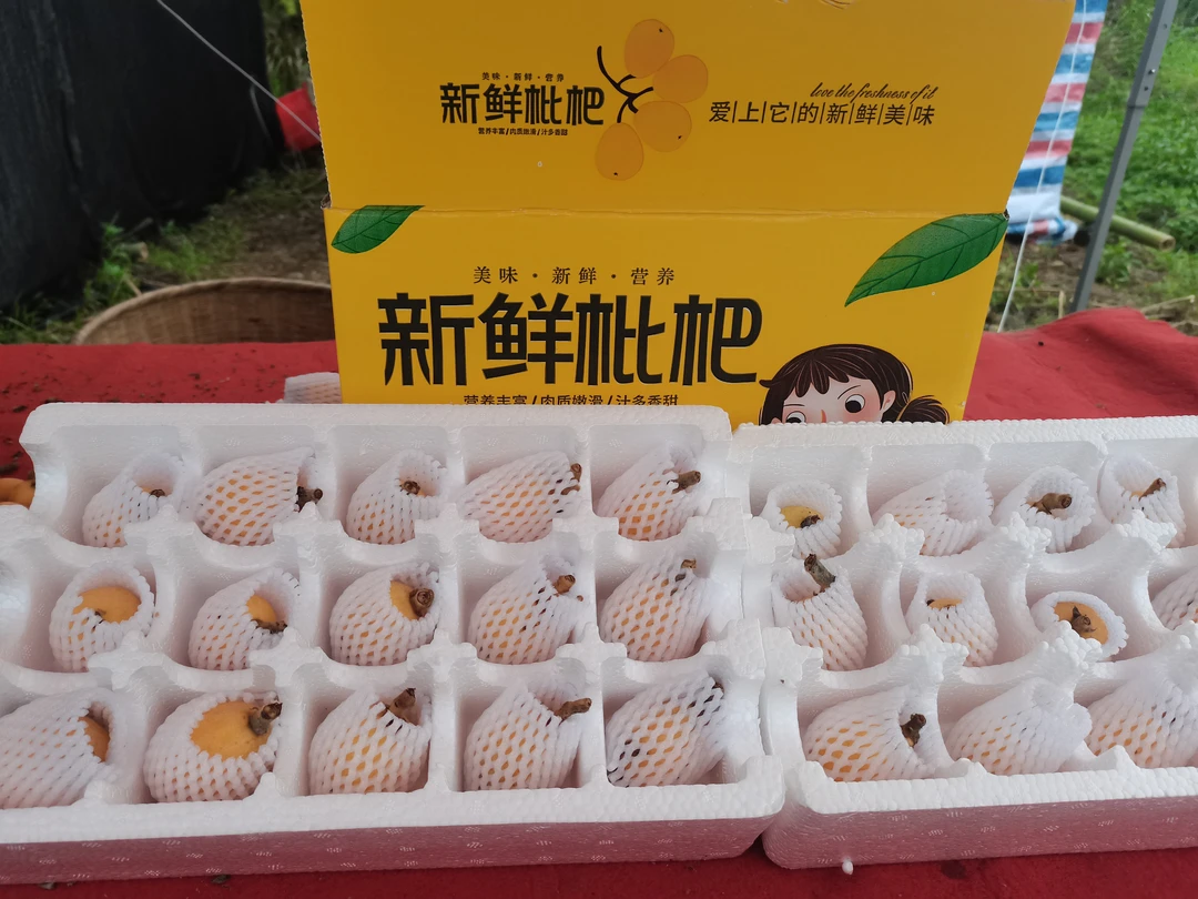 [江西黄山村]—农家精选白玉枇杷