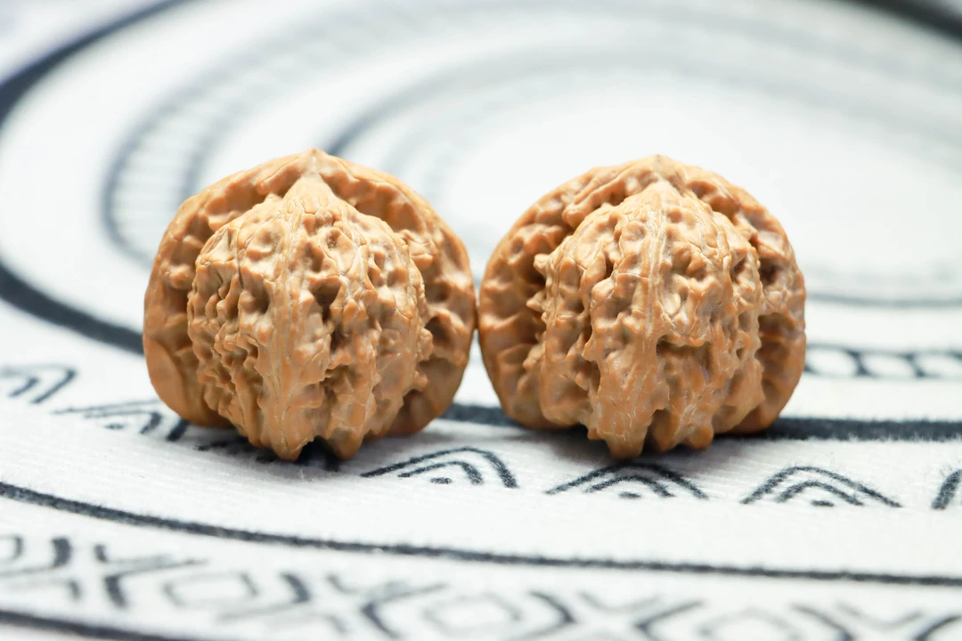 【神农精选】38尺寸全品无修三角白狮子头纯手工打底克重一致