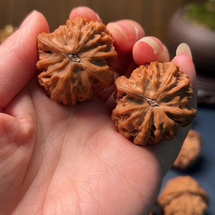 石***头木桃和大红灯笼也在