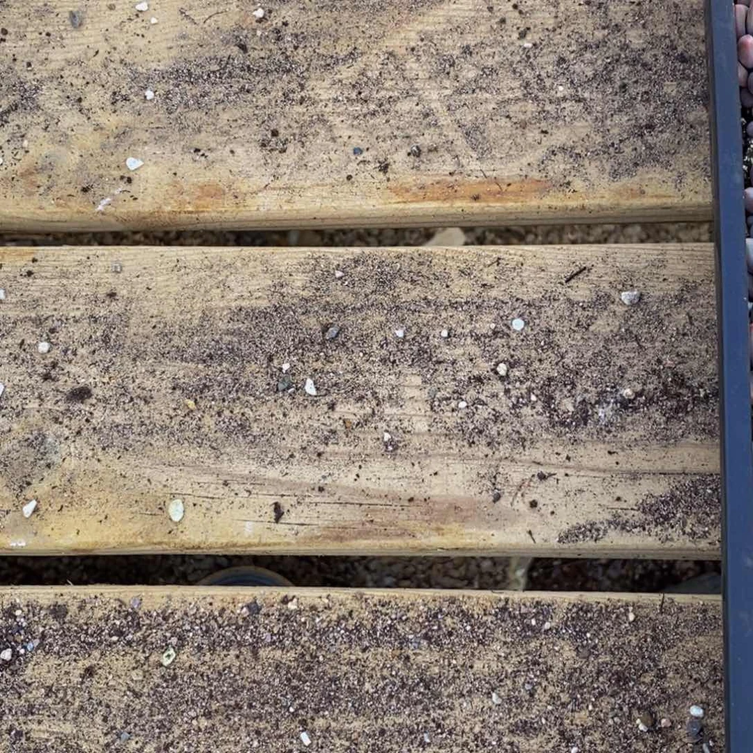 h****h1盆土费会好好过吧。