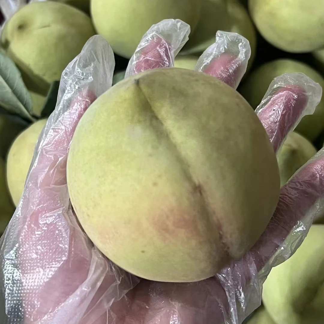 青蜜桃一份（约5斤）