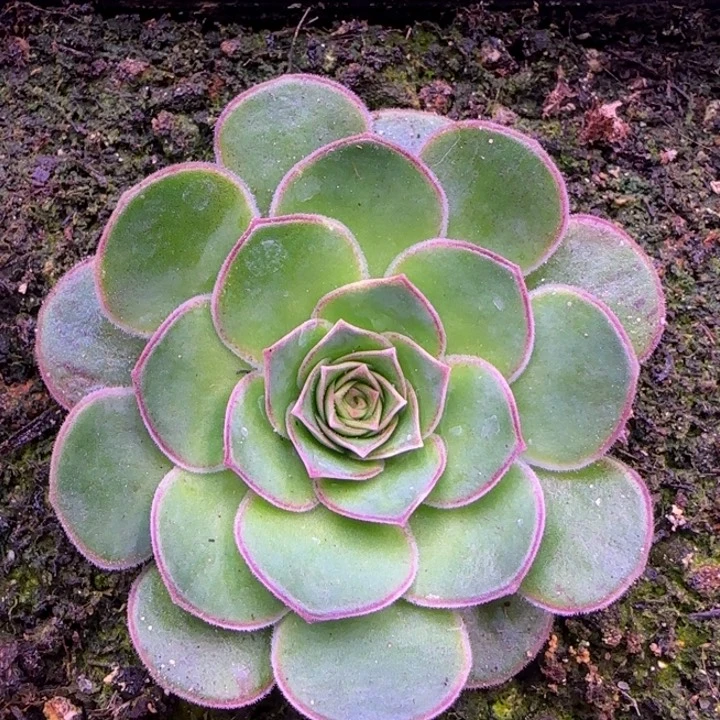 福利285685655655685699998