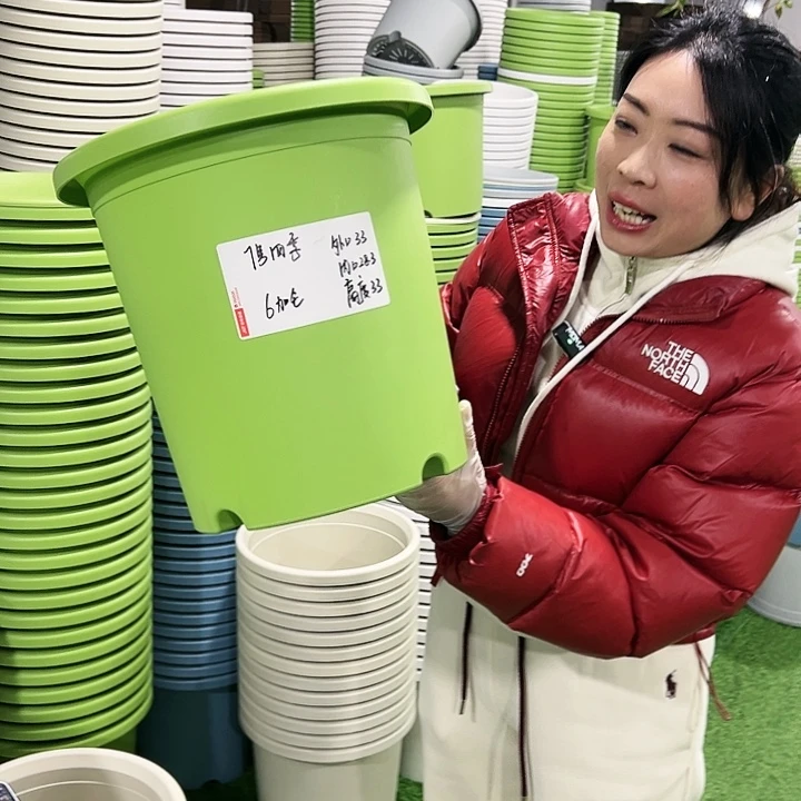 特价7号四季口33高33白色6只无托