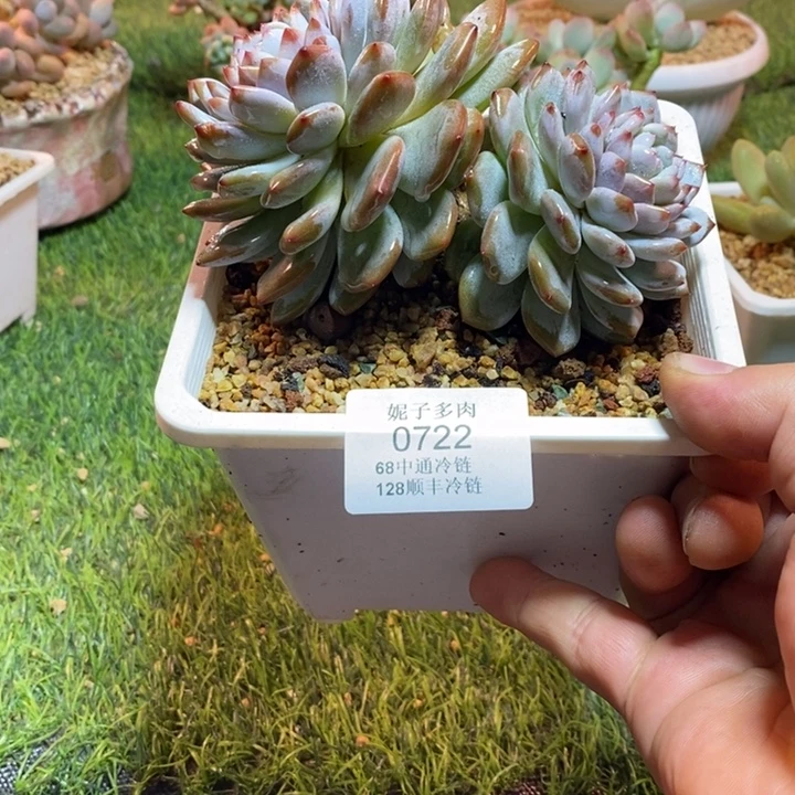 0722啊啊啊啊啊啊啊啊