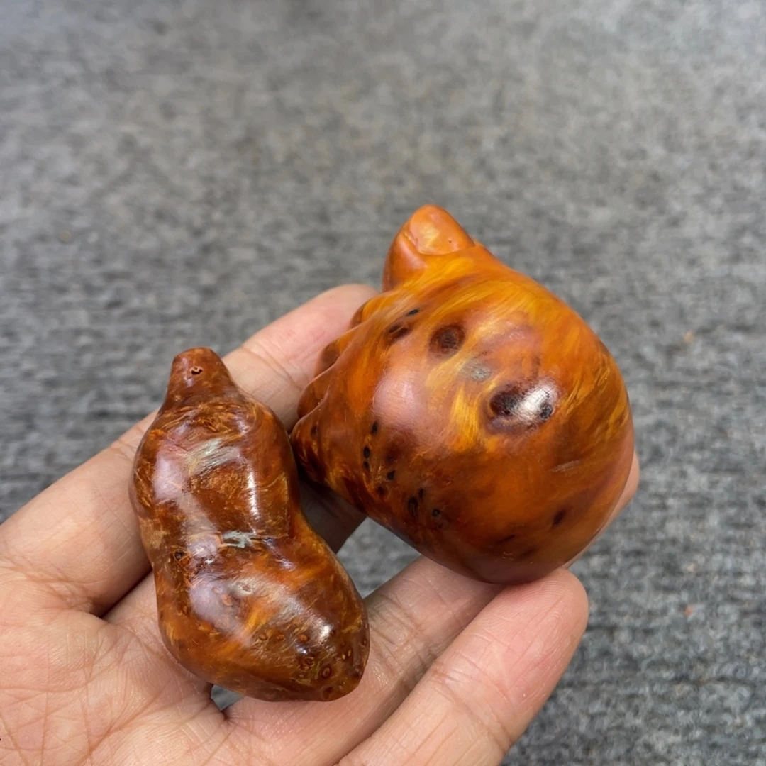 柏木（崖柏）太行崖柏8888888888