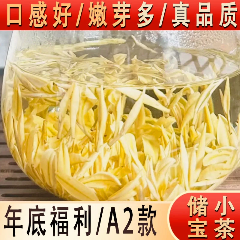 年底福利/头采A2【黄金芽/醇香绵柔/口感很好/高性价比】