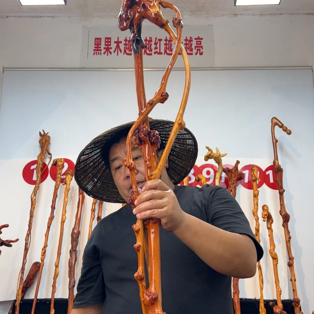 待***宾黑果木其他黑果木760