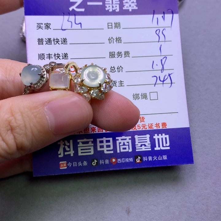 翡翠颈饰银S925镶嵌泓*