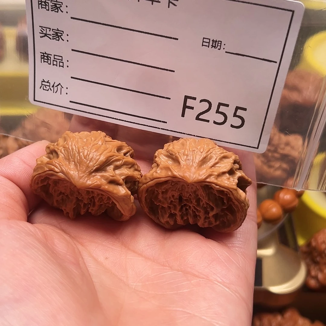 A****哒蛇王蛇王蛇王蛇王34