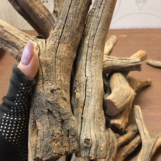 大果紫檀（缅甸花梨）小*山