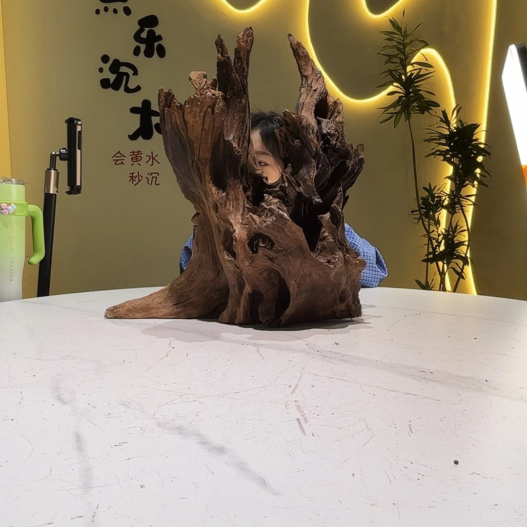 瓦当乌****?沉木入缸会黄水009。38 21 45