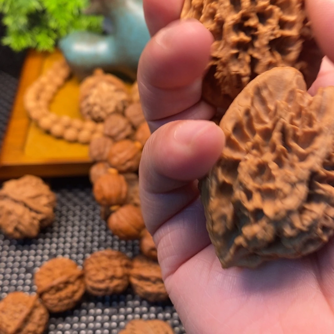 ʚ***ɞ秦岭森林茂密和植被覆盖