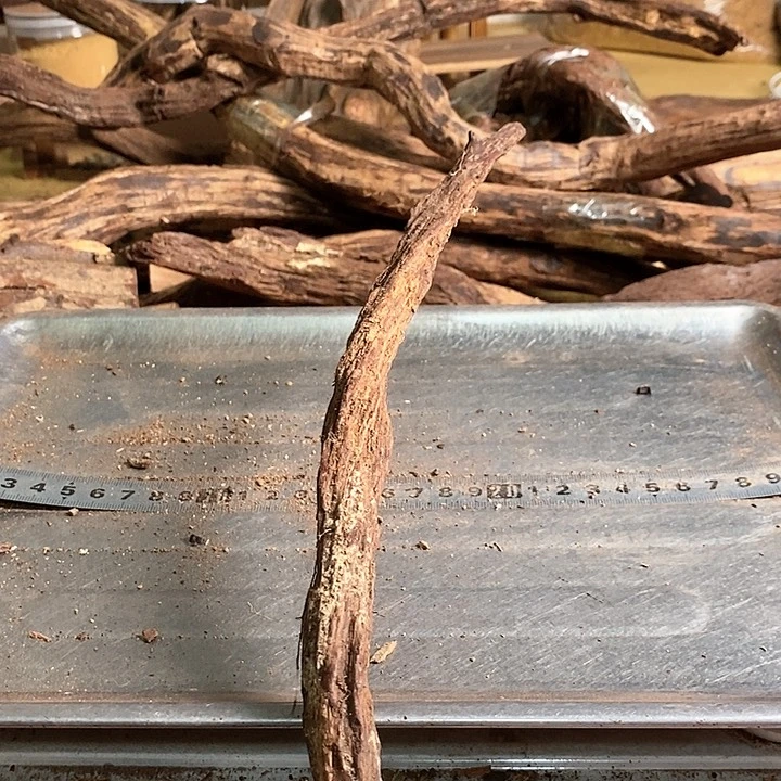 花梨木类用**神海南花梨