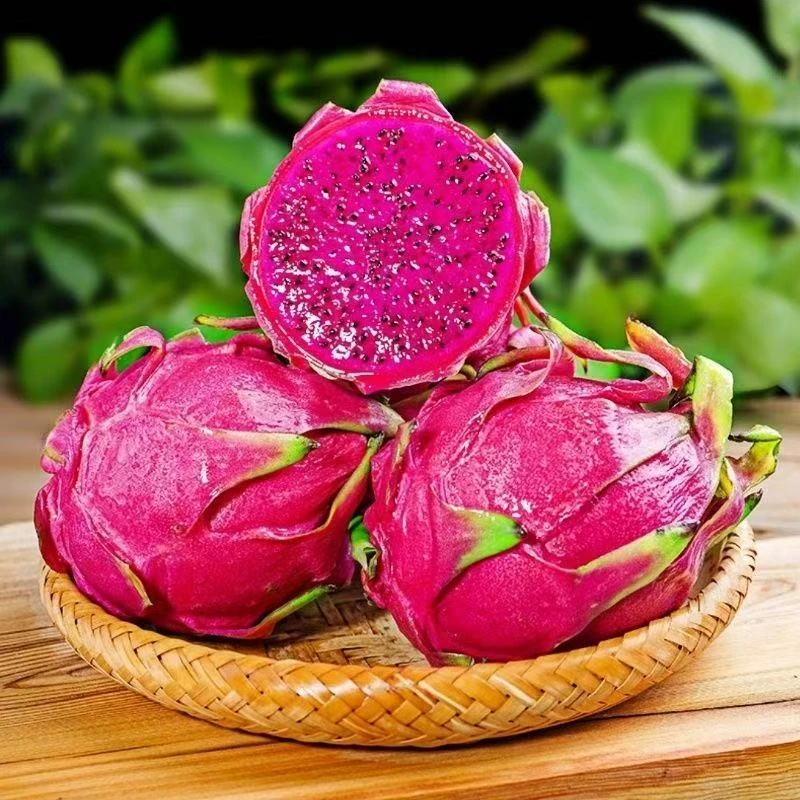 D正宗火龙果红心当季新鲜水果现采现摘孕妇水果