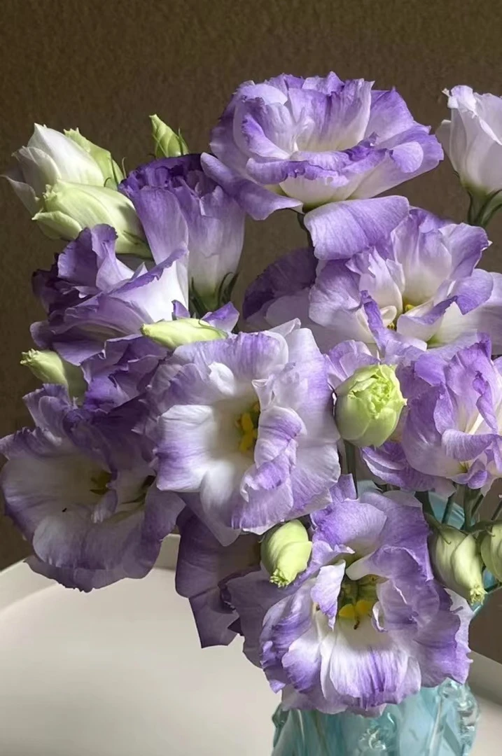 烟灰紫洋桔梗一大把  云南基地鲜花