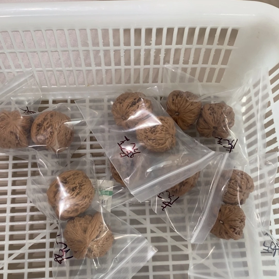 文玩核桃吊坠虎头王有瑕疵