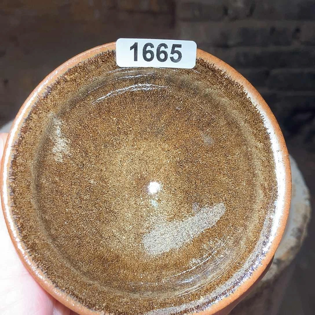 茶盏8888885888588