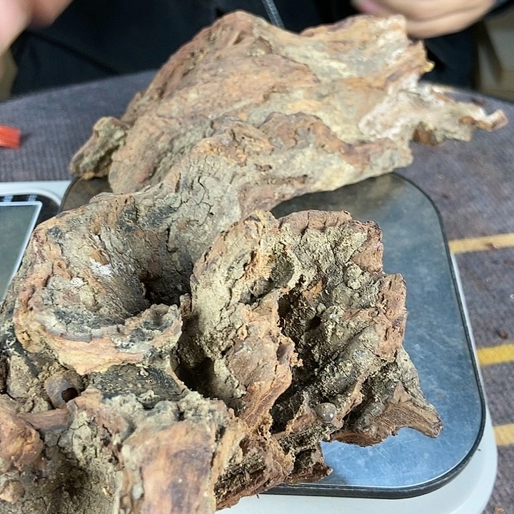 木阳*光180毛料毛料毛料毛料