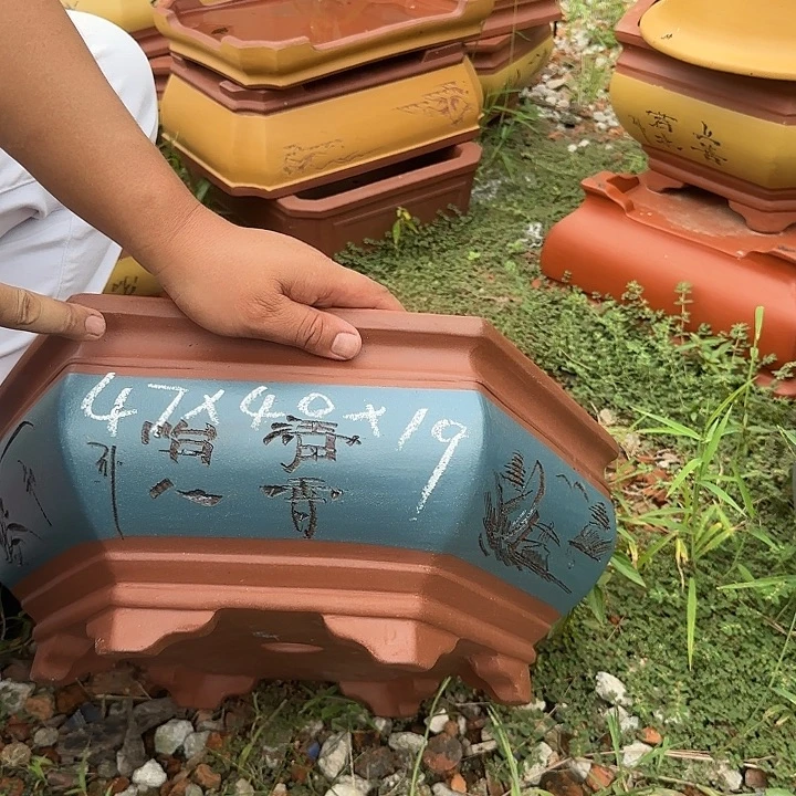 紫砂花盆紫砂花盆