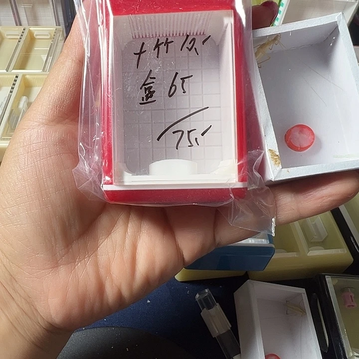 海****蟋蟀哈哈哈哈哈哈哈哈哈