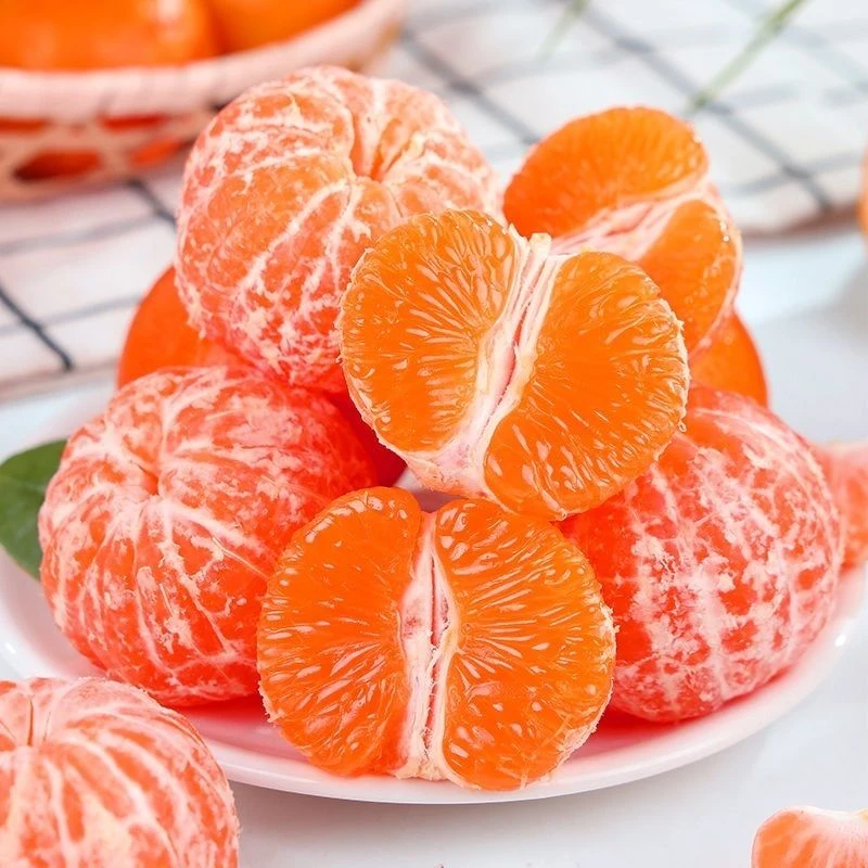 小耘乡湖南石门蜜橘柑桔酸甜多汁当季新鲜应季水果柑橘现摘现发