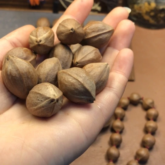 橄榄核手串/手链?*蛰1928，12颗8888