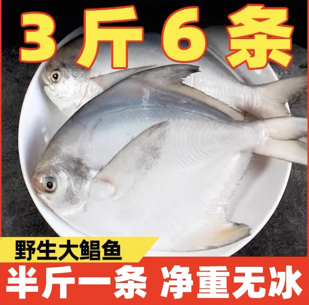 新鲜银鲳鱼 5两一条（到手6条）液氮锁鲜发货