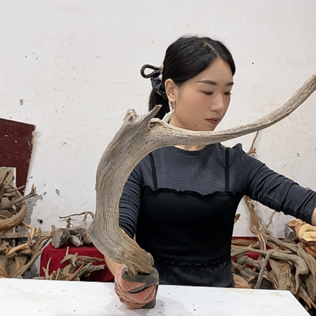 【闪购商品】柏木?*東我们都是好孩子