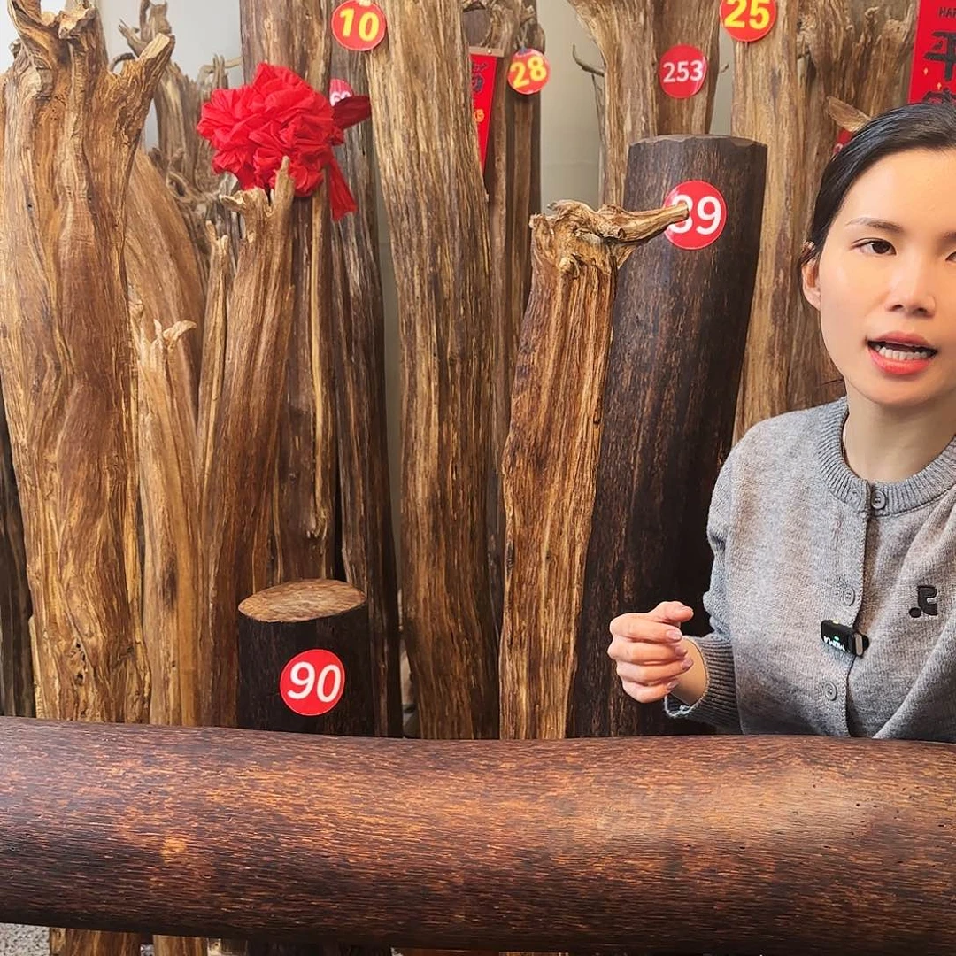 沉香木摆件沉香原木工艺品摆件➕底座