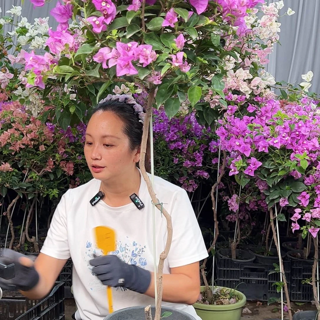 宜***材完全开放K15雪紫！