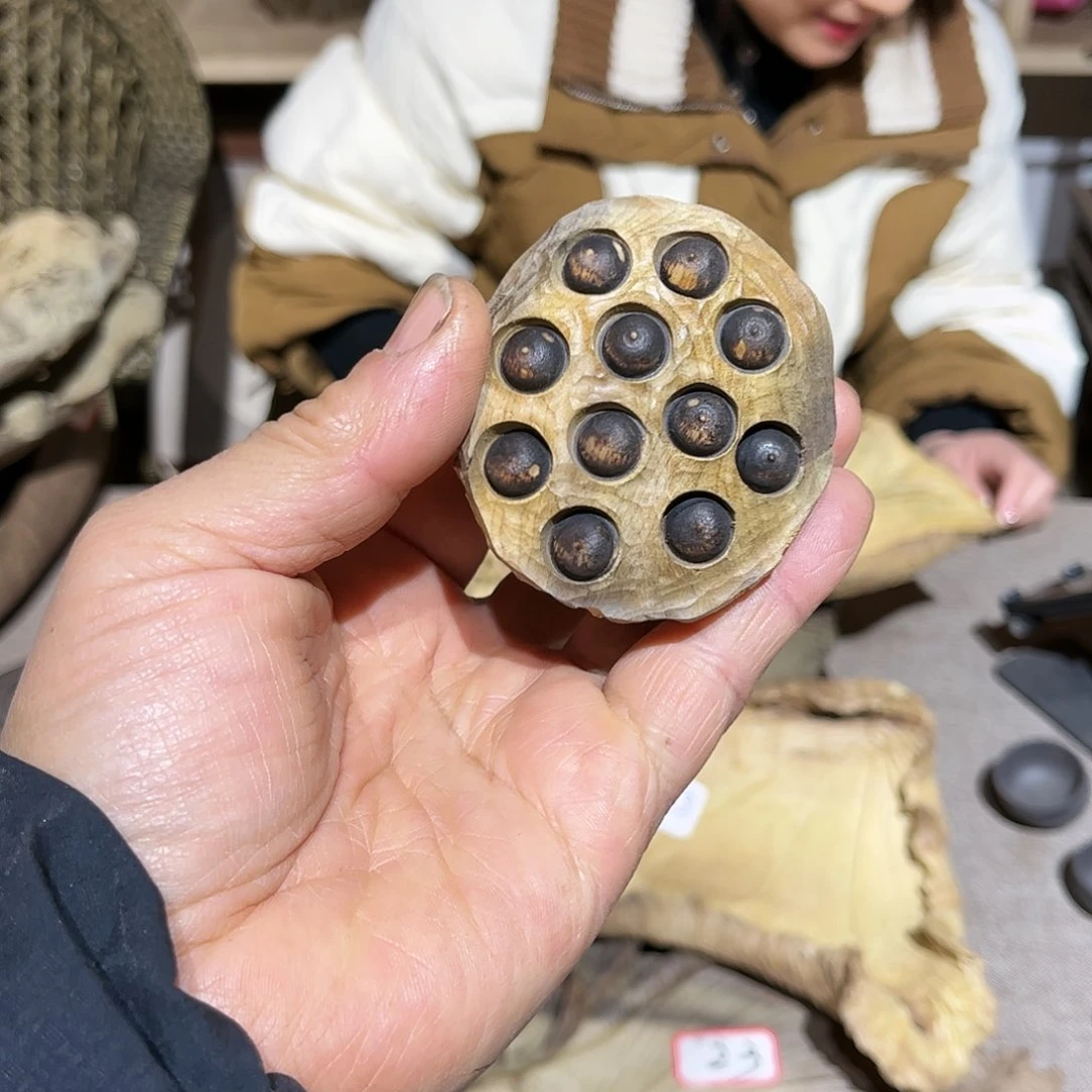 木R*生小叶金丝楠木