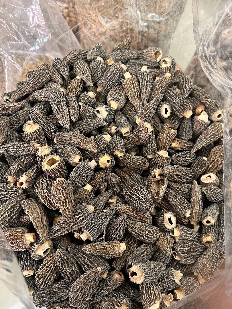 云南羊肚菌4到7公分味香肉厚干货特产纯天然鲜甜煲汤干货大个精品