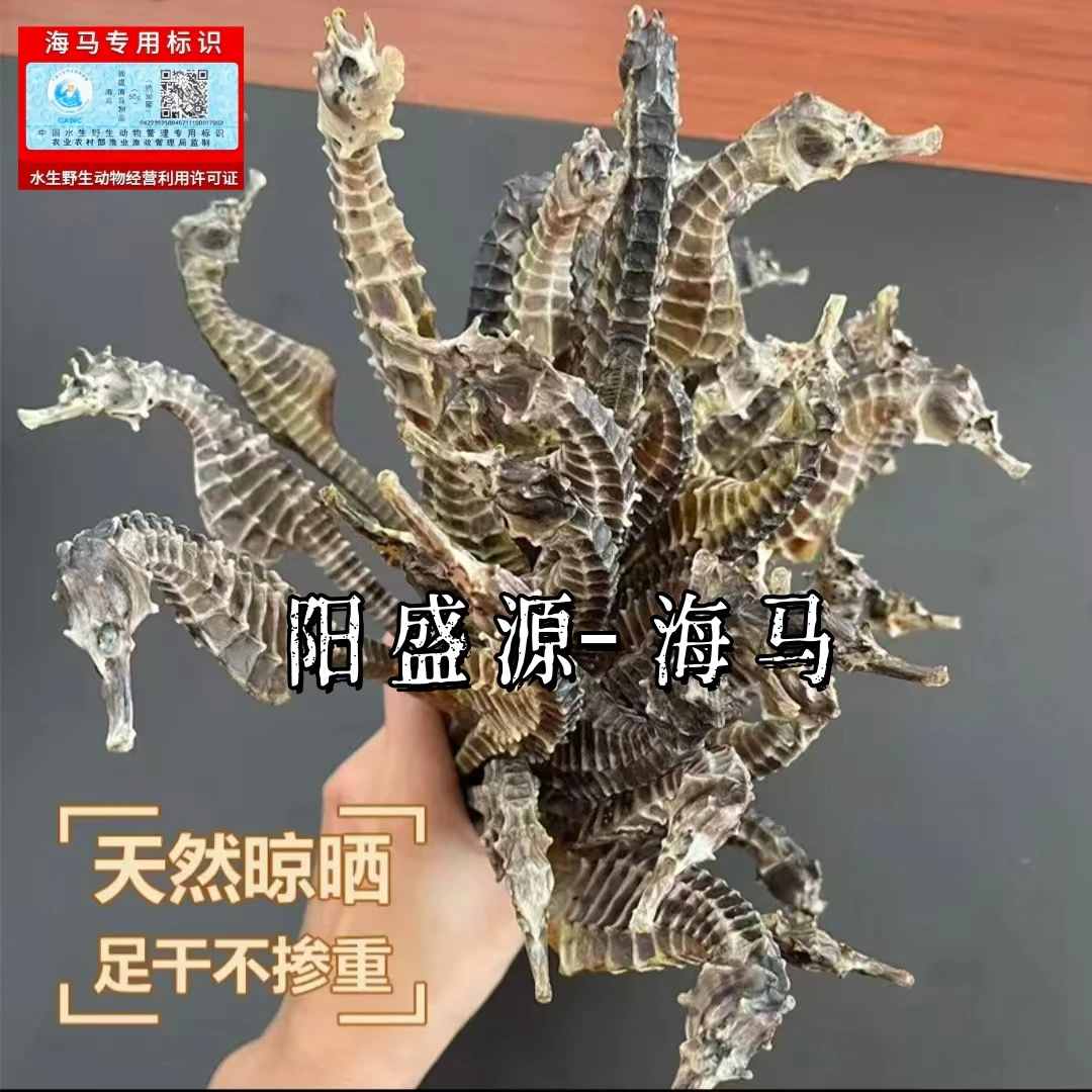 海马 正品带溯源码 正品公母一对 煲汤泡酒 海马泡酒专用