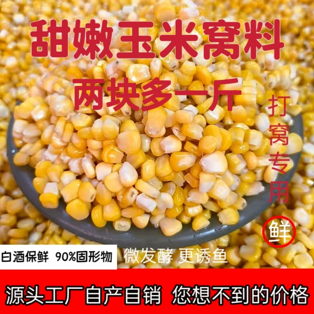 钓鱼水果玉米粒鲫鲤草鳊青翘嘴嫩玉米鱼饵窝料饵料微发酵