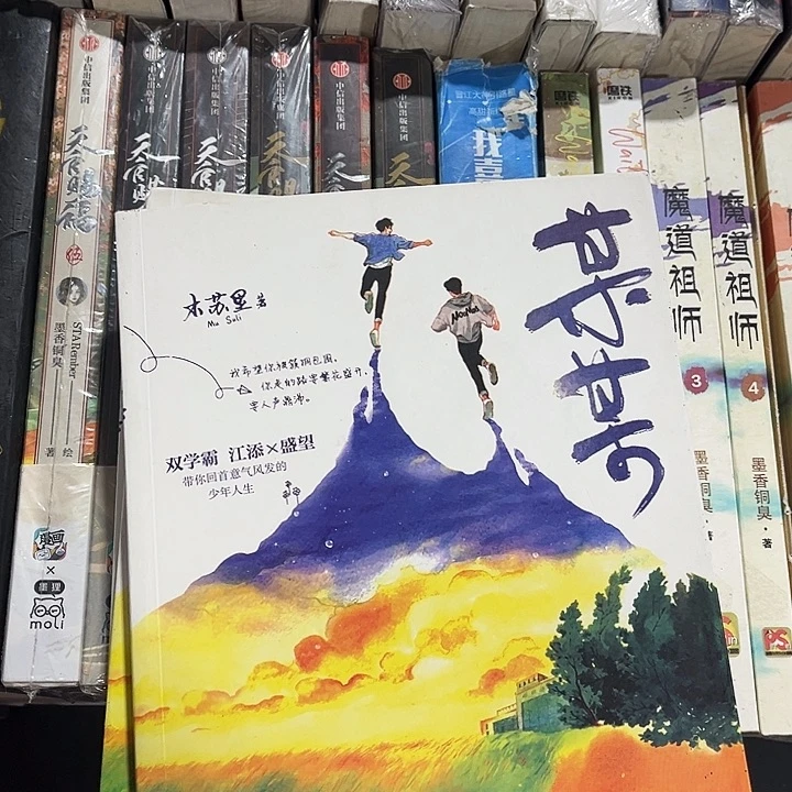 某某全新全套三本带周边未删减