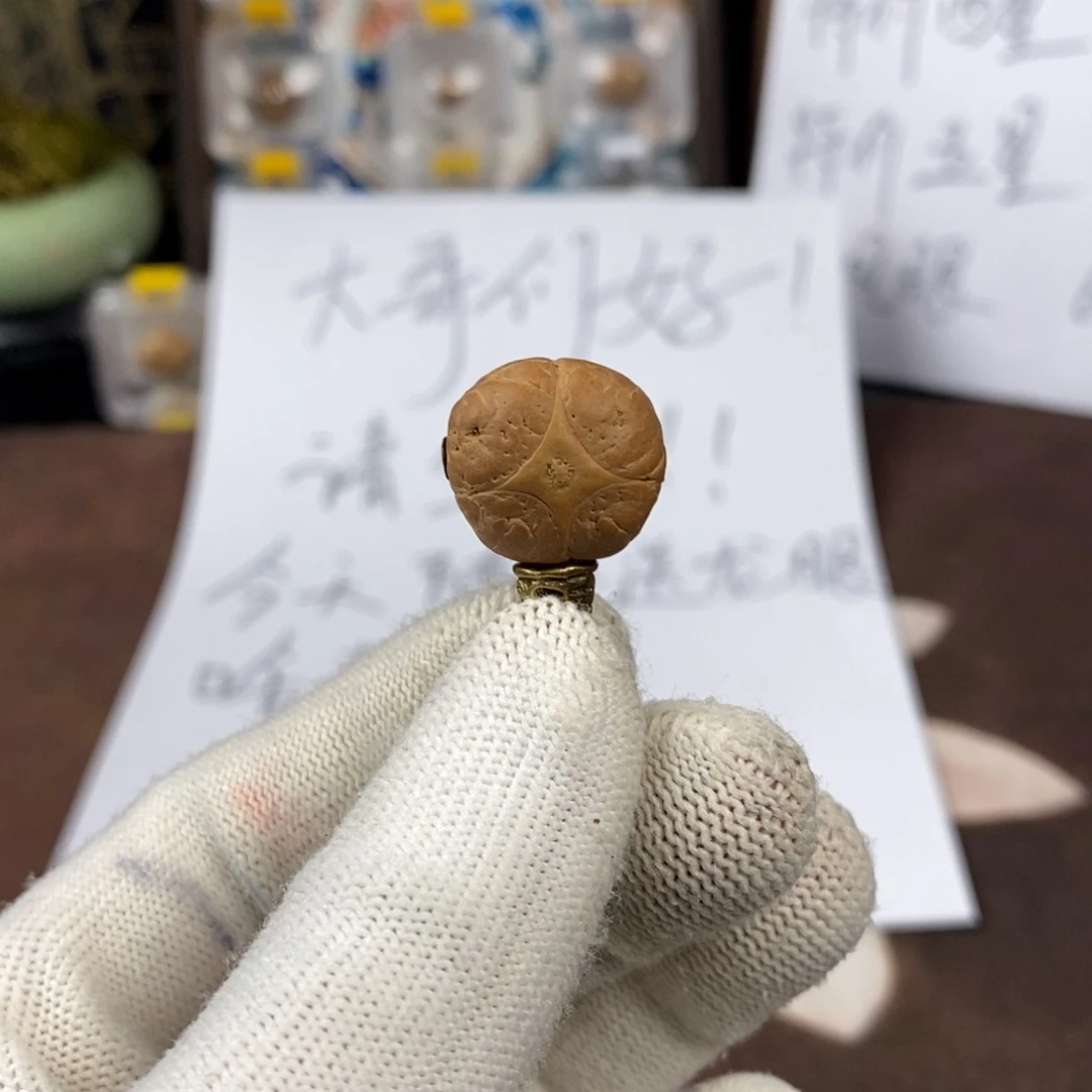 吊坠凤眼菩提18麒麟单颗