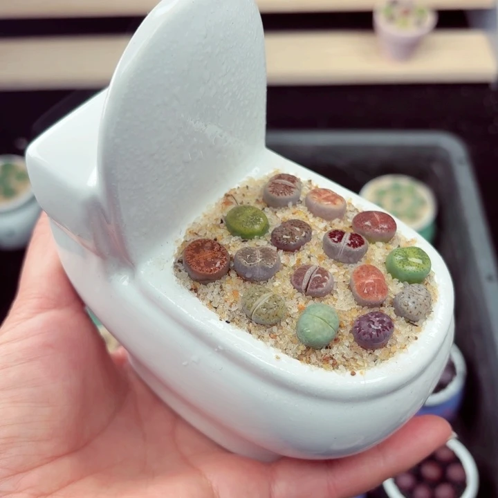 550凑满18包邮零下地区记得拍保温箱