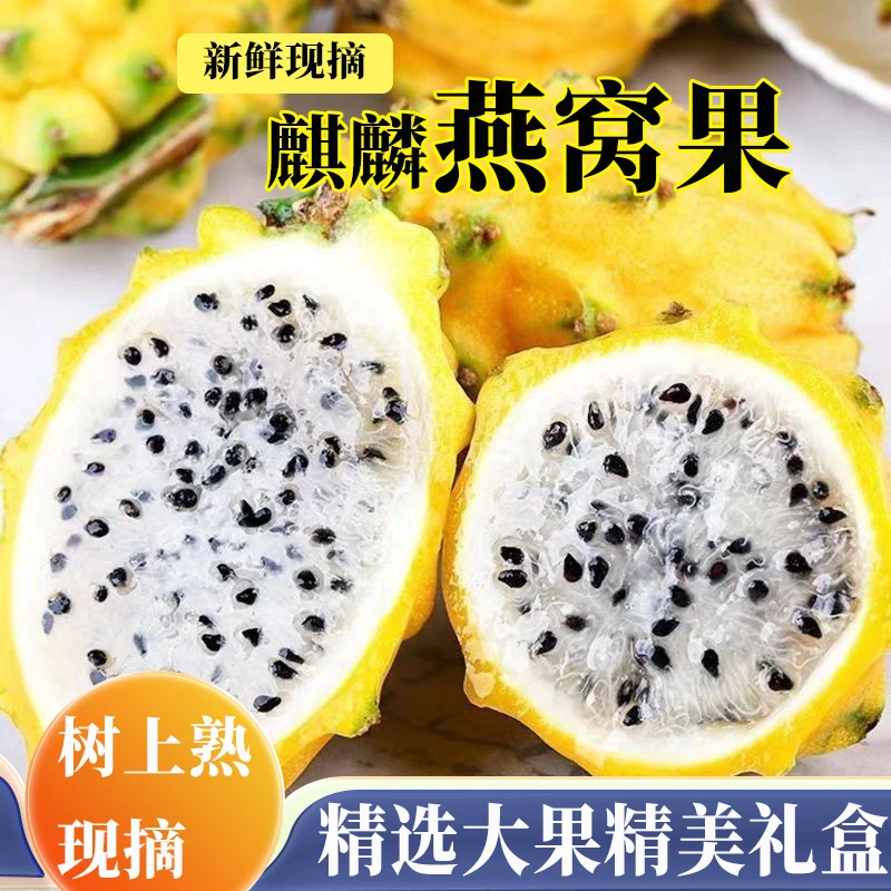 正宗麒麟燕窝果新鲜采摘清甜多汁当季水果应急孕妇黄色火龙果香甜
