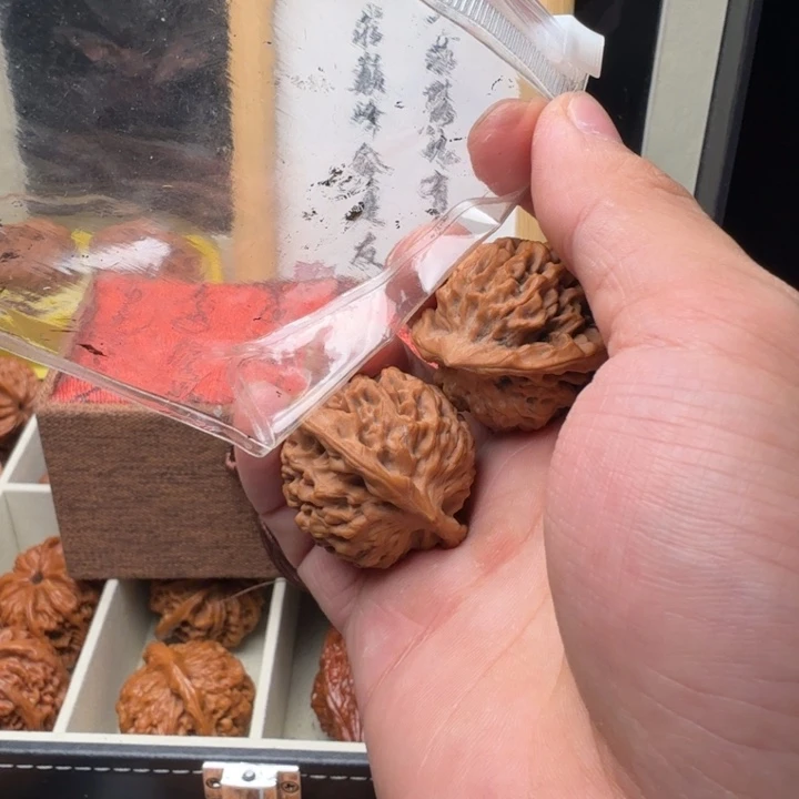 桂***格35尺福利品正版宝鸡秦闷