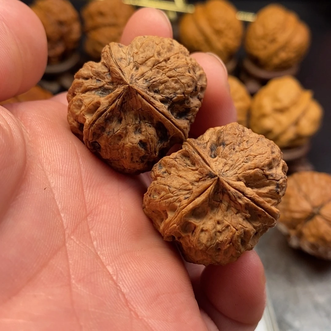 文玩核桃把件梅花三愣