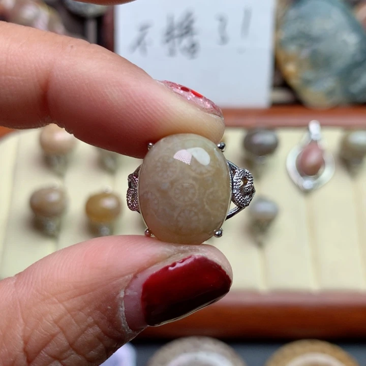 硅化珊瑚（珊瑚玉）颈饰未镶嵌